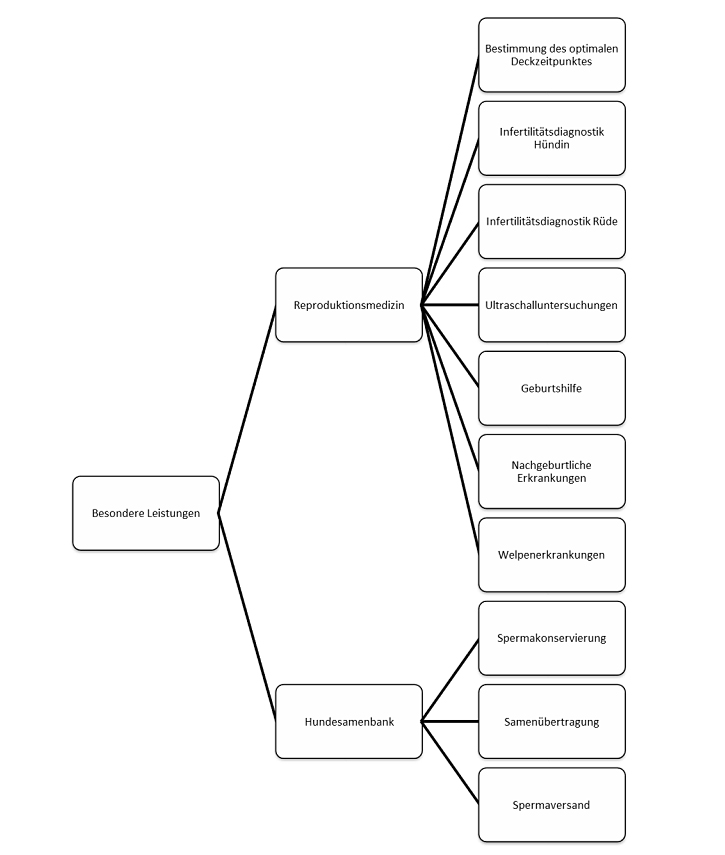 Besondere Leistungen in der Fortpflanzungsmedizin